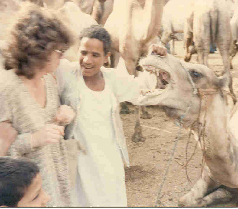photograph portrays an angry camel and a startled tourist.